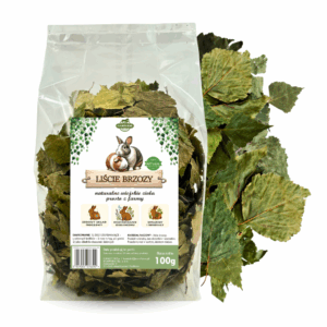 liście brzozy dla królika