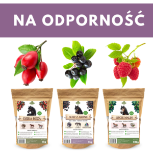 NA ODPORNOŚĆ zestaw dla koni