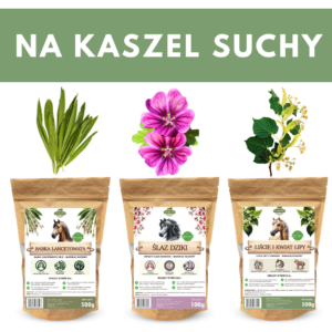 zestaw na kaszel dla koni