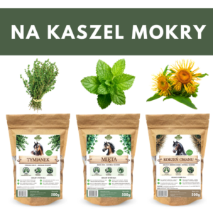 zioła na kaszel dla koni