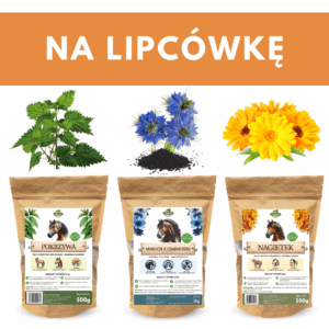 zestaw na lipcówkę dla koni
