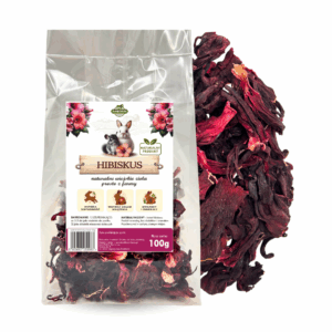 hibiskus dla krolika